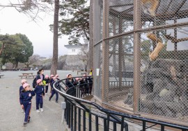 小田原遠足