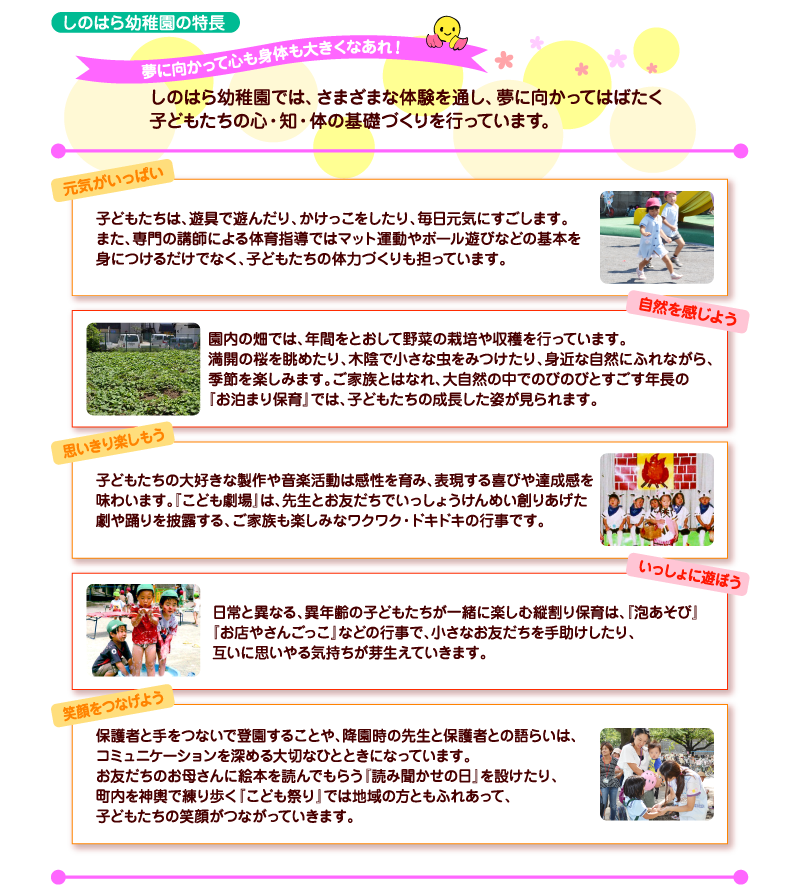 しのはら幼稚園の特長