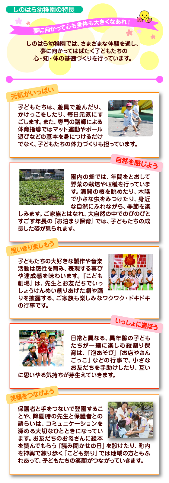 しのはら幼稚園の特長