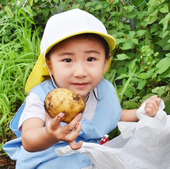 じゃがいも掘りで収穫したじゃがいもを見せる園児