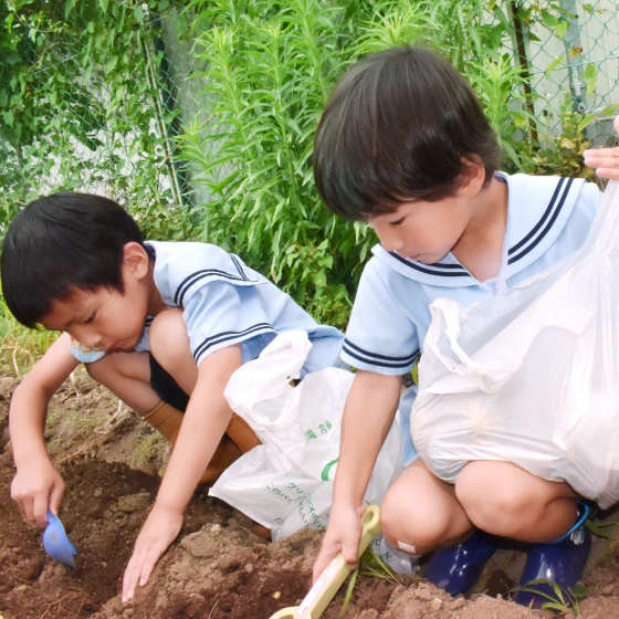 畑で収穫体験をする園児たち