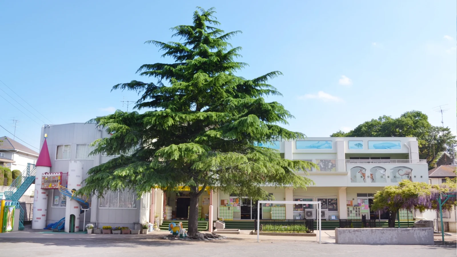 園舎の外観